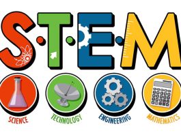 stem